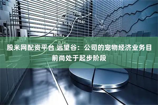 股米网配资平台 远望谷：公司的宠物经济业务目前尚处于起步阶段